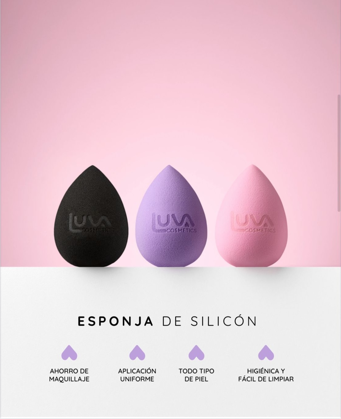 Esponja Esponja